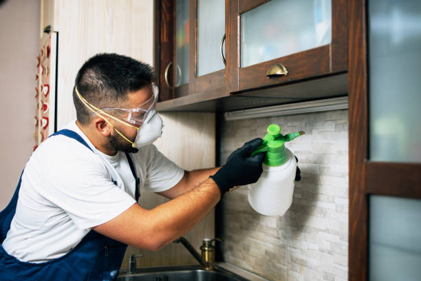 Best Pest Inspection Near Me  in Birch Run, MI