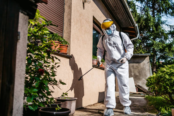 Best Emergency Pest Control  in Birch Run, MI