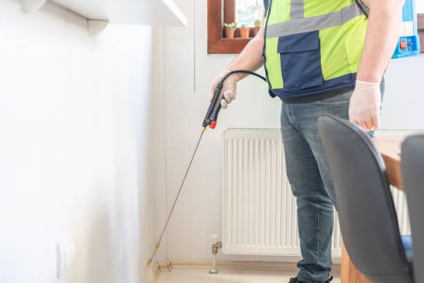 Best Affordable Pest Control Services  in Birch Run, MI