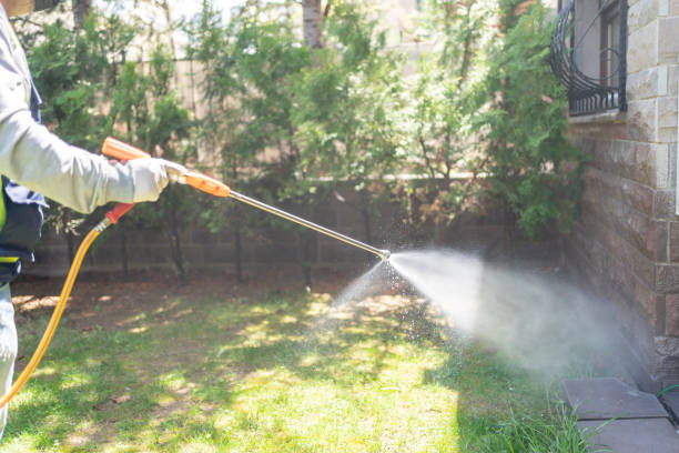 Best Pest Control Near Me  in Birch Run, MI