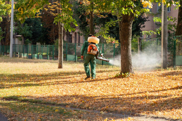 Bird Control in Birch Run, MI