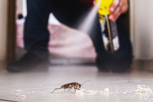 Best Pest Removal Services  in Birch Run, MI