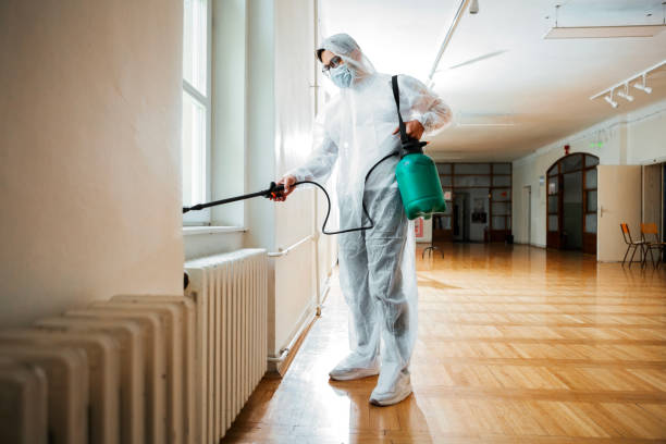 Best Commercial Pest Control Services  in Birch Run, MI